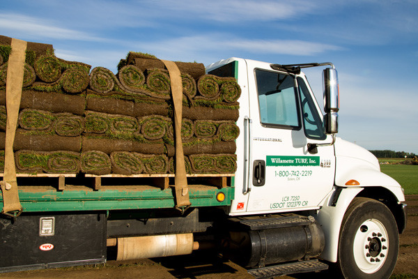 Willamette Turf, Sod Big Rolls